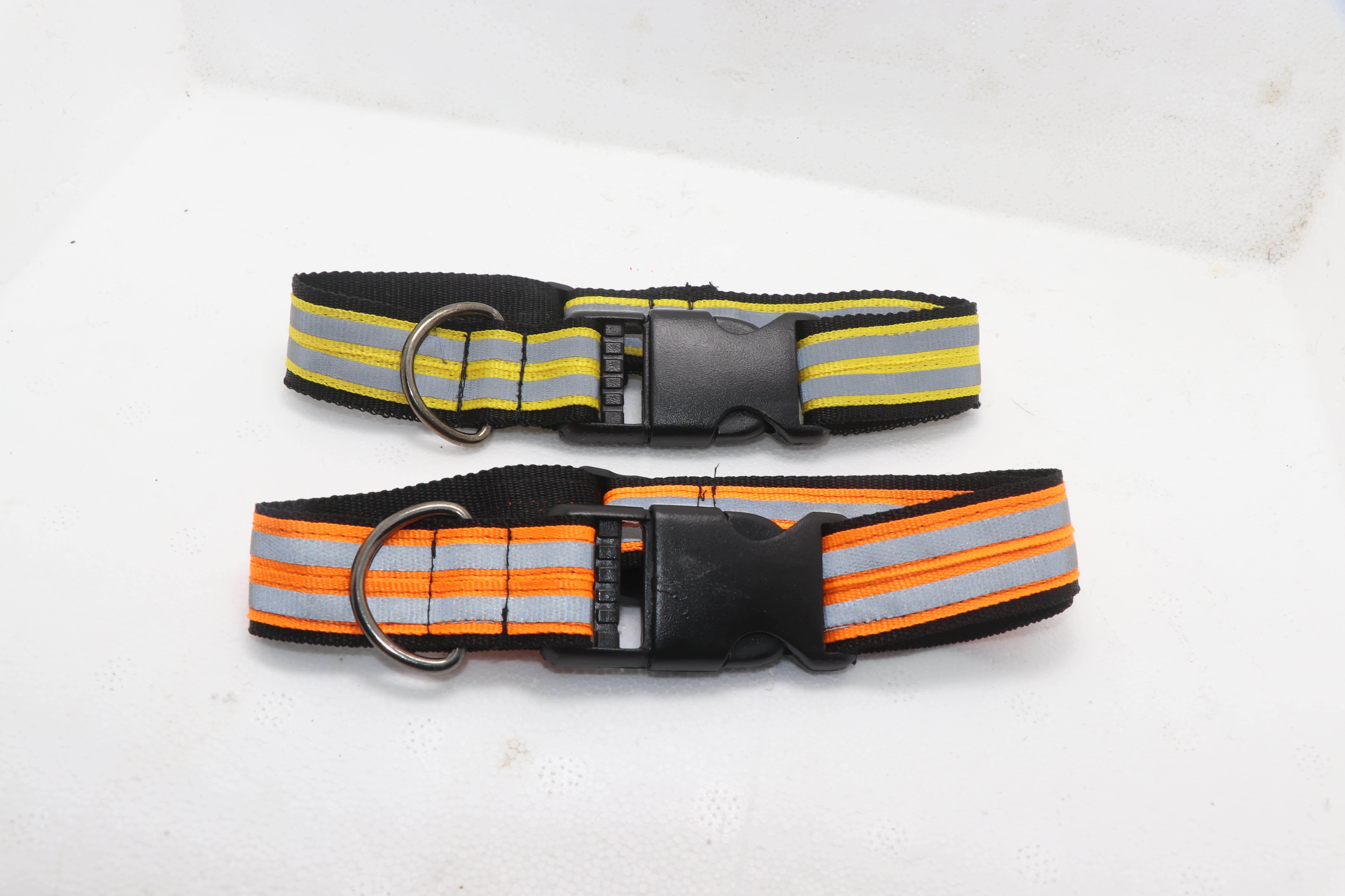 dogs-radium-collar-img