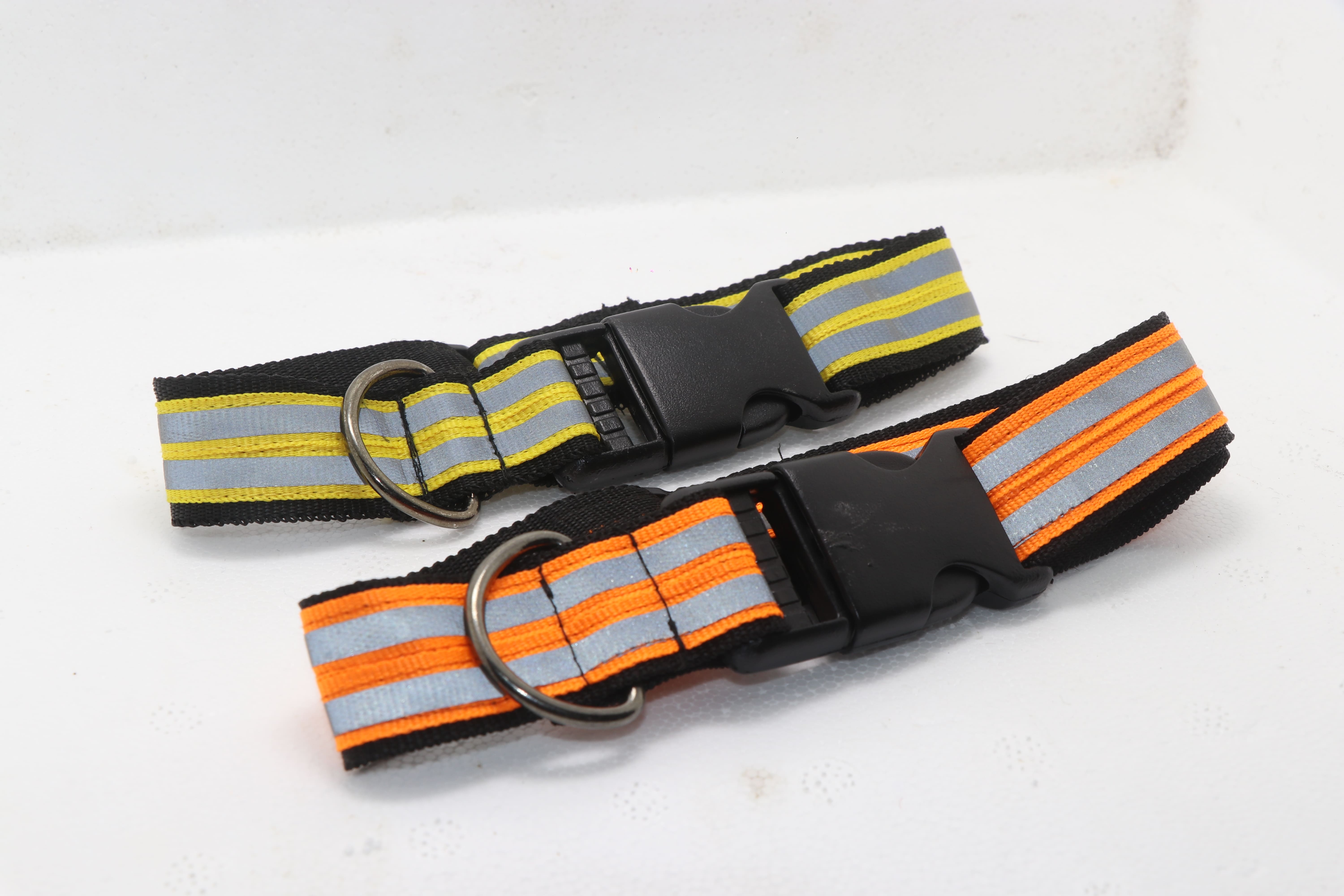 dogs-radium-collar-img